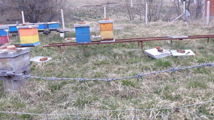 Košnice Ratka Džolića