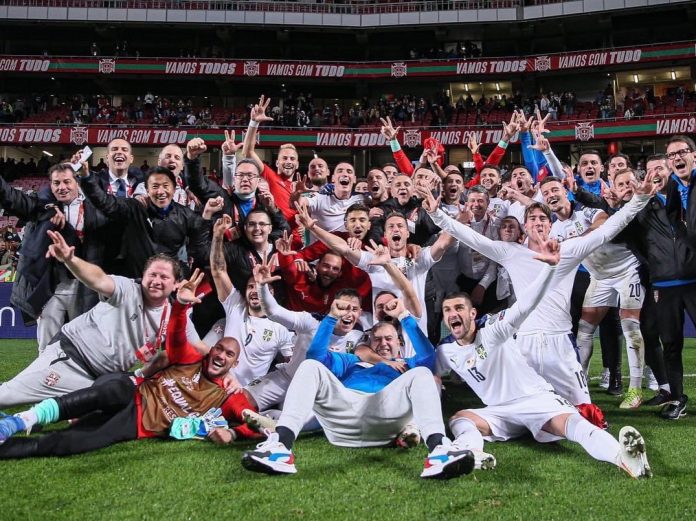 Fudbaleri Srbije (Foto: FSS)