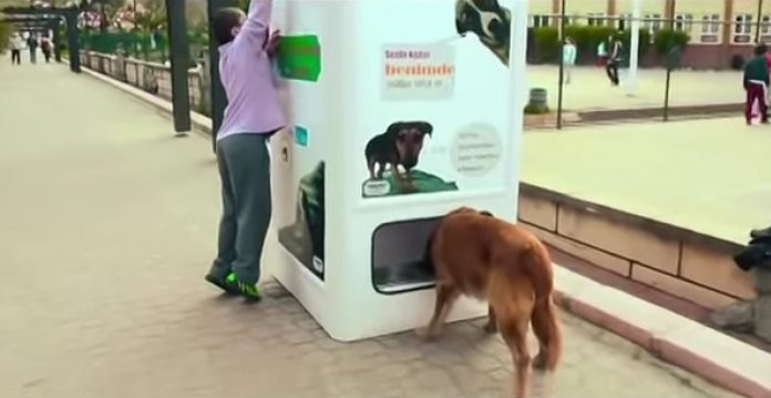 Automat koji hrani pse lutalice