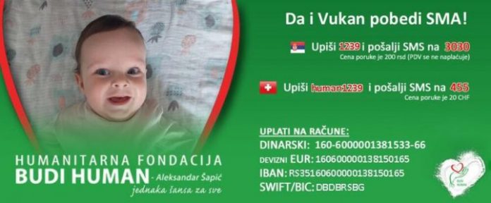 2956401_vukan-stoiljkovic-1_ff-720x298