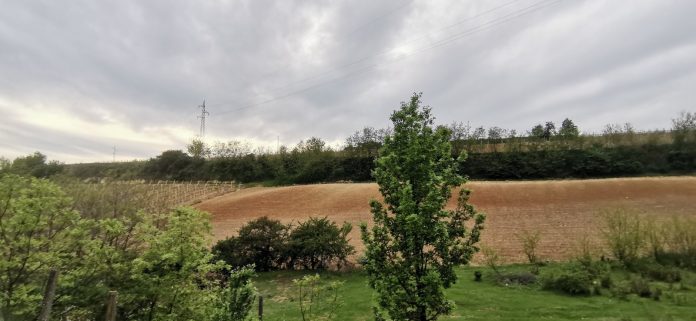 Velika Hoča (Foto: Olivera Radić)