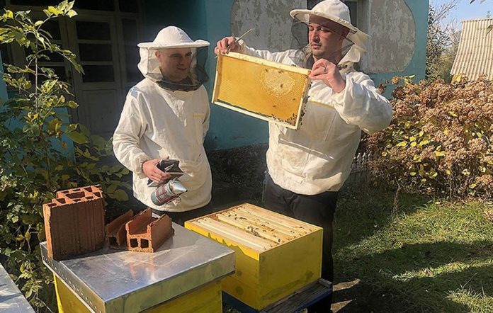 Petar Đorđević i Miloš Savić u pčelinjaku (Foto: Kim)