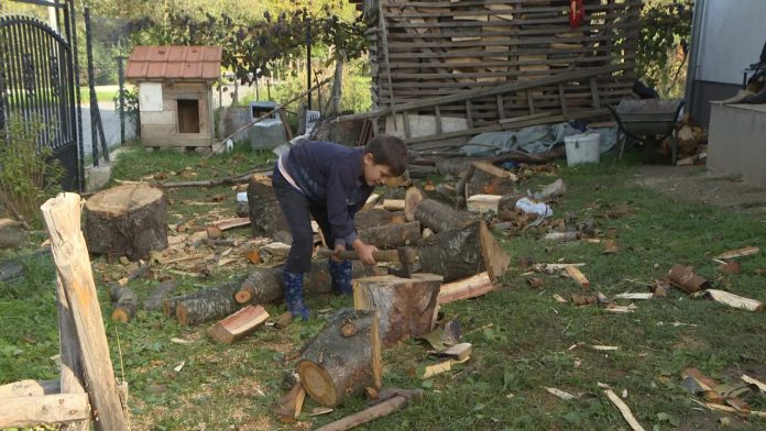 Stankovic-Sevce-1