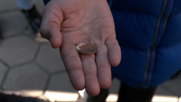 Lomljenje Božićne česnice u Gračanici: Zlatnici kod Nevene, Andrije i Lazara 2 cesnica 2