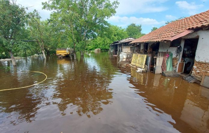 Dvorište Živorada Nićića (Foto: M. Nićić)