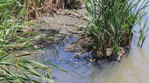 Gračanica: Jalovina i hemikalije ugrožavaju reku Gračanku i zdravlje stanovnika 1 6