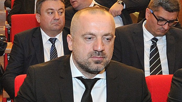 Milan Radoičić (Foto: Tanjug)