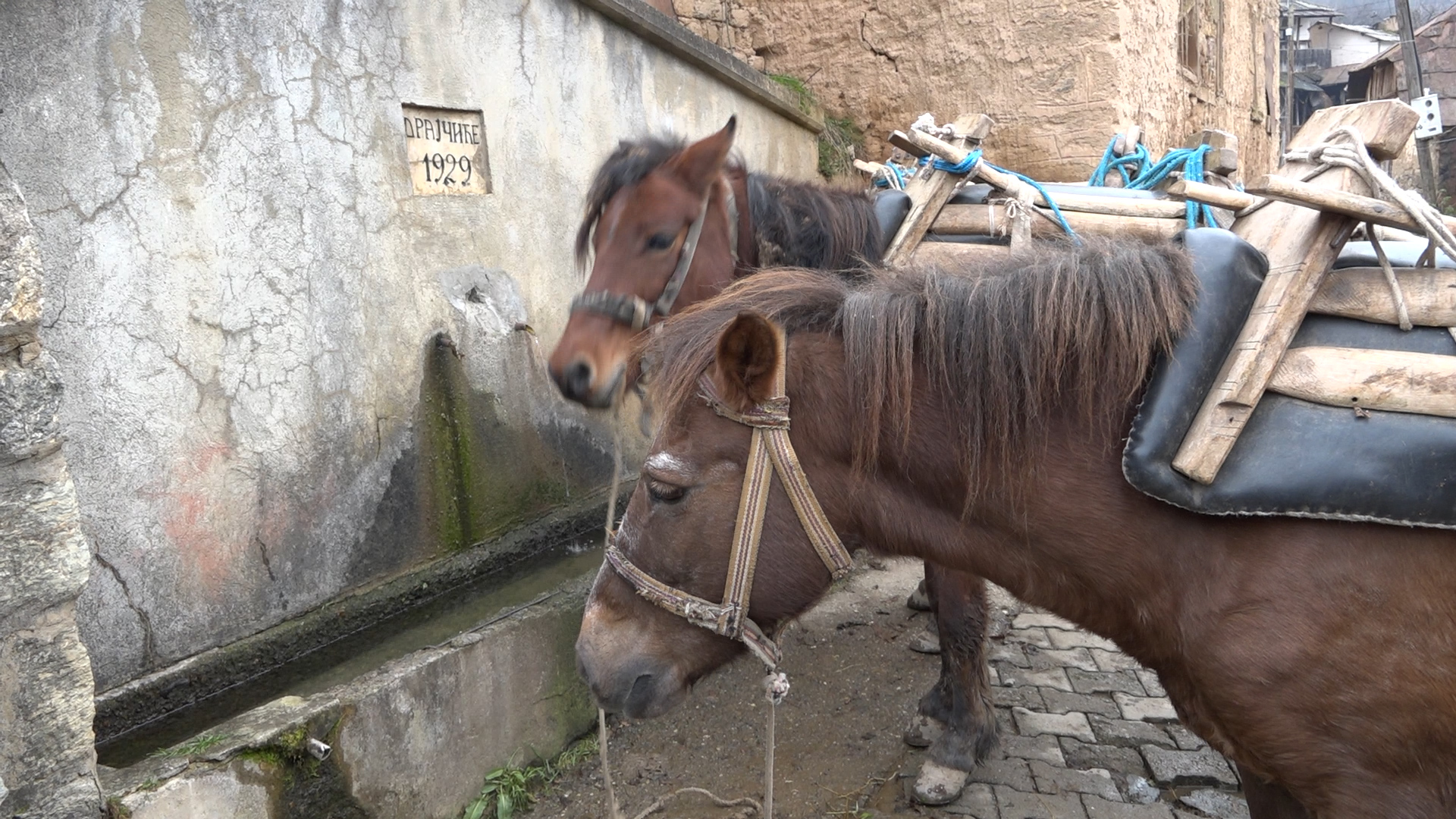 Težak život preostalih Srba u selima Sredačke Župe na obroncima Šar planine 4 drajacici