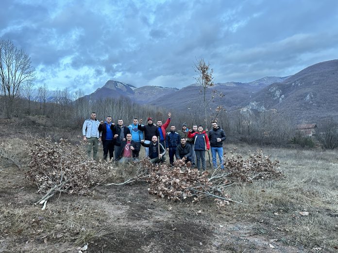 Seča badnjaka (Foto: Radio Goraždevac)
