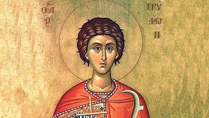 Sveti Trifun (Foto: SPC)