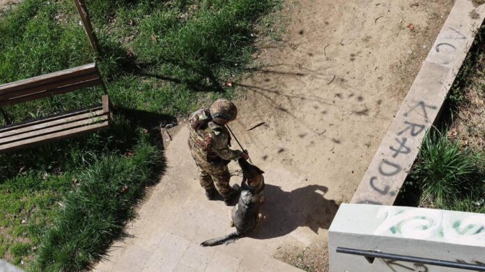 KFOR: Tim za uklanjanje eksplozivnih sredstava redovno vrši kontrole na mostu na reci Ibar 3 434021051 761420136090122 948472896203849308 n 696x391 1 1