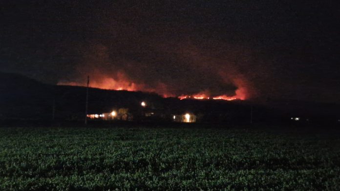 Šumski požar na brdu iznad Osojana (Foto: Radio Goraždevac)