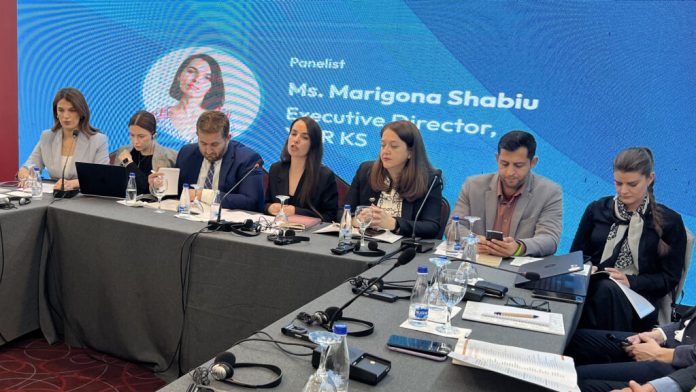 Detalj sa predstavljanja izveštaja civilnog društva o ljudskim pravima za 2023. godinu (Foto: Kim)