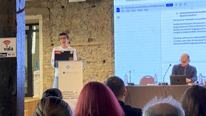 Maja Sever predstavlja rezoluciju UNS-a na Godišnjoj skupštini Evropske federacije novinara u Prištini (Foto: Kim)