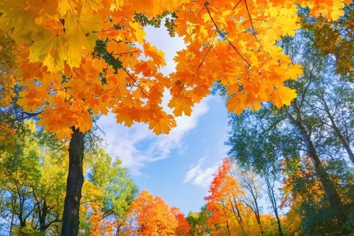 Foto: Shutterstock Foto: Shutterstock