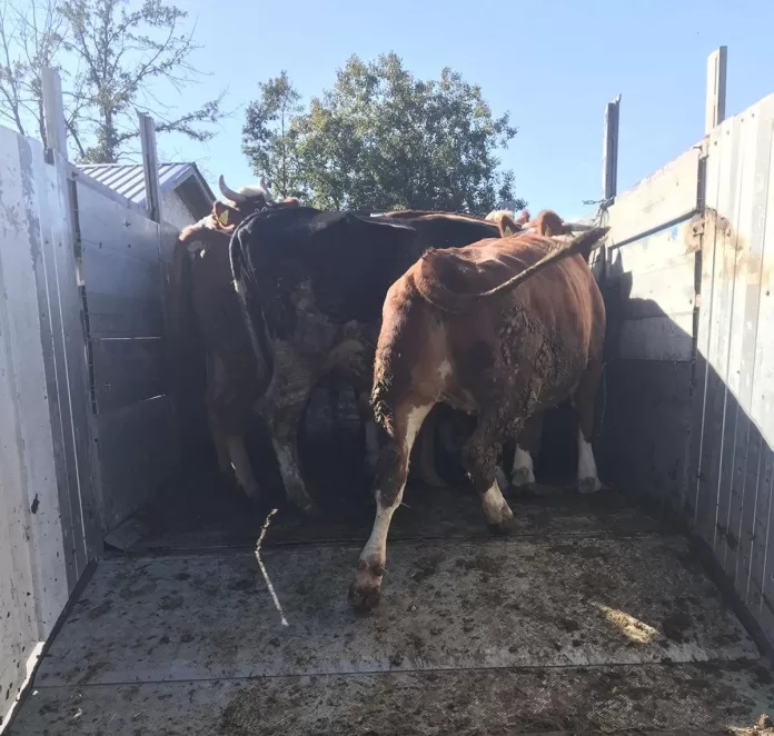 Foto: Agencija za hranu i veterinu, Fejsbuk Foto: Agencija za hranu i veterinu, Fejsbuk