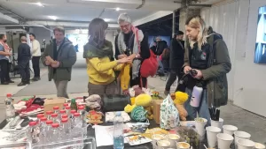 Napušteni psi na Kosovu: Zakon na papiru, patnja na ulicama 2 sapa