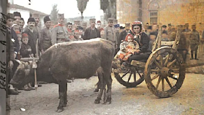 Izložba fotografija „Slike života“ Albera Kana u Prizrenu (Foto: promo, Dom kulture „Gračanica“) Izložba fotografija „Slike života“ Albera Kana u Prizrenu (Foto: promo, Dom kulture „Gračanica“)