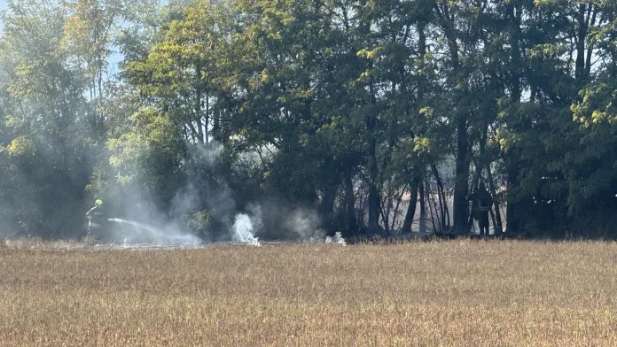 Požar u Goraždevcu (Foto: Radio Goraždevac) Požar u Goraždevcu (Foto: Radio Goraždevac)