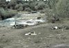 Osamnaest godina od zločina nad decom u Goraždevcu
