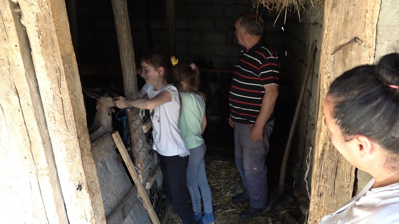 Porodica Jevtić iz Rajanovca: Život na selu sa pet stentova