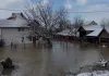 Milić: Radevo i Lepina najugroženiji, činimo što je u našoj moći Radevo, poplave (Foto Kim)
