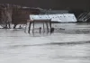 Poplave ostavile velike posledice širom Kosova