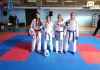 Karatisti Sportskog karate udruženja osvojili devet medalja u Raški Foto: Sportsko karate udruženje Zvečan