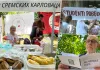 „Mesto odakle je sve počelo“: Studentski protest u Novom Sadu, počelo postavljanje štandova Foto: N1